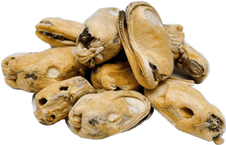 SundayPets フリーズドライトッピング グリーンリップド 50g