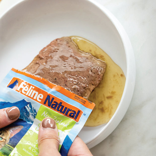 FL チキン&ラム・フィースト 85g「パウチタイプ」