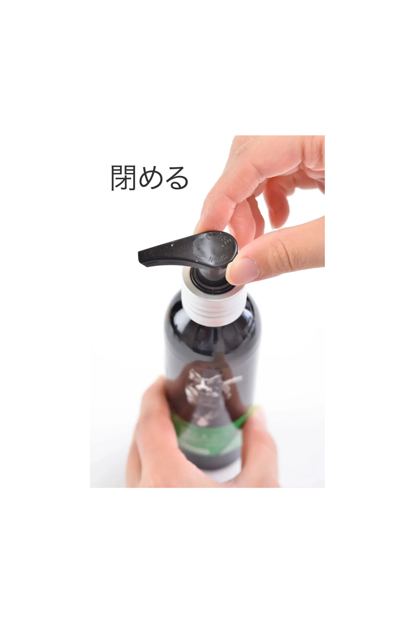 ProVida スキン&コート〈犬猫兼用〉