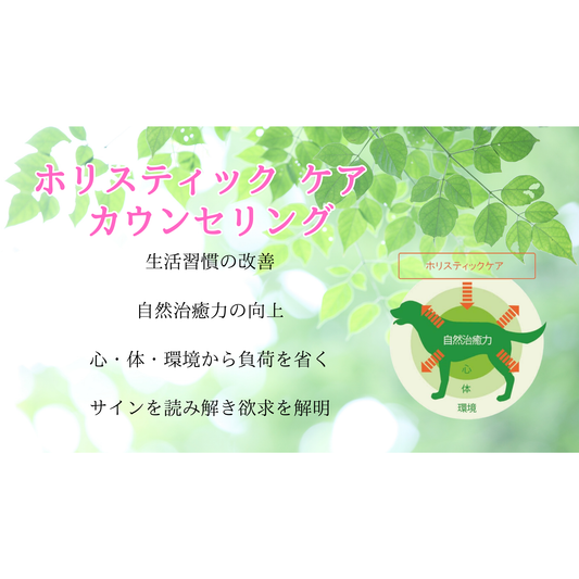 健康個別相談〈ホリスティックプロケア・カウンセリング〉1ヶ月サポート