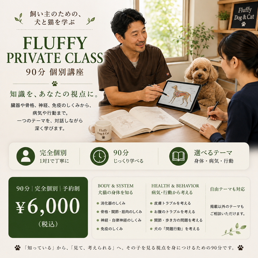 FLUFFY PRIVATE CLASS｜犬と猫を学ぶ90分個別講座