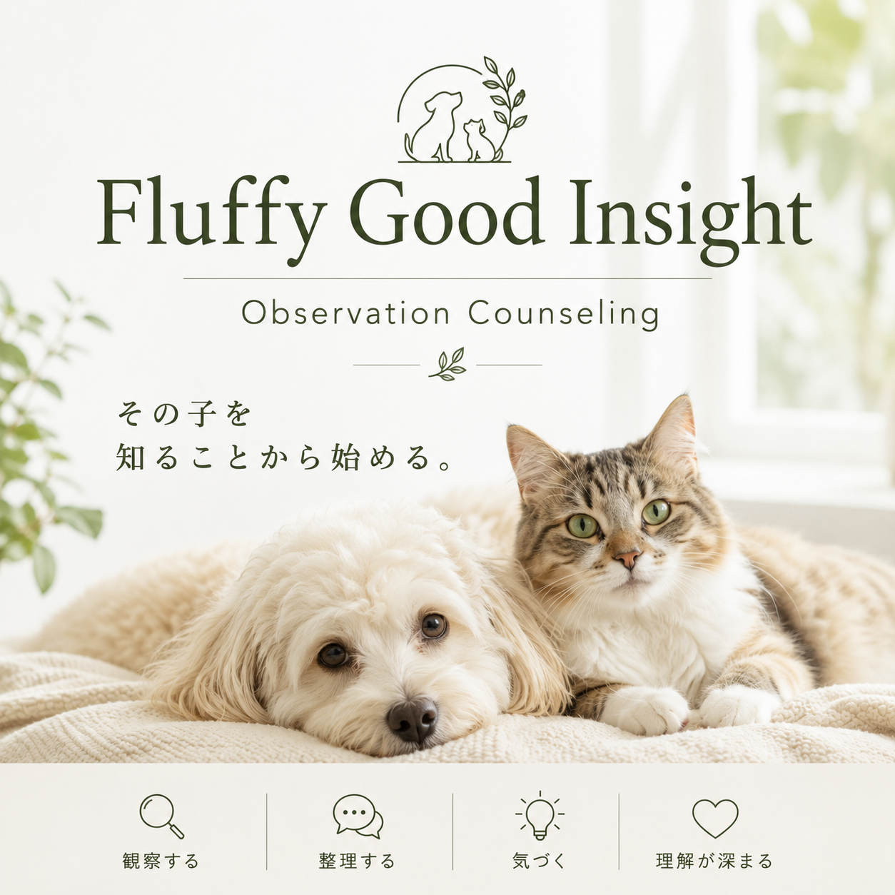 Fluffy Good Insight