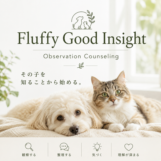Fluffy Good Insight