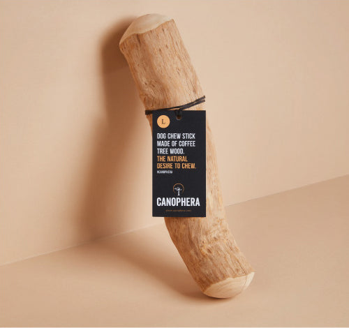 キャノフィラ　ドッグデンタルチュー